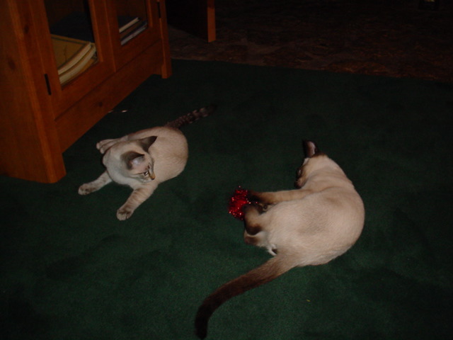 DSC00938.JPG