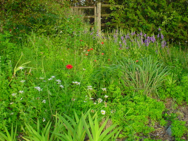 DSC00966.JPG