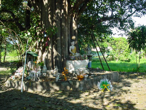 13_country_altar