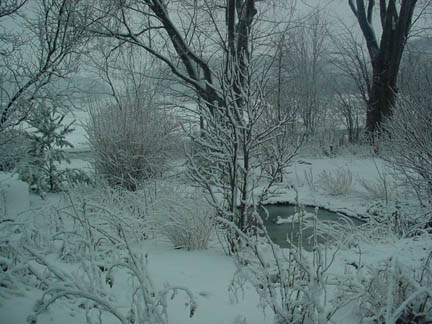 DSC00368