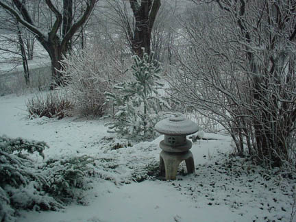 DSC00371