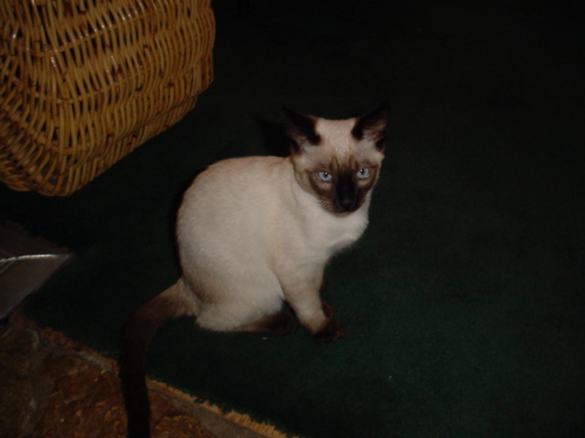 DSC00948.JPG