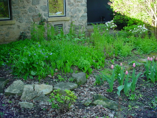 DSC00907.JPG