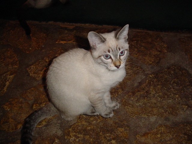 DSC00949.JPG