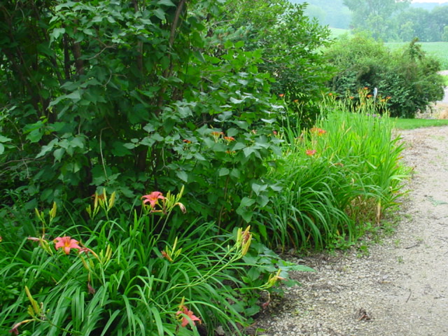 DSC01022.JPG