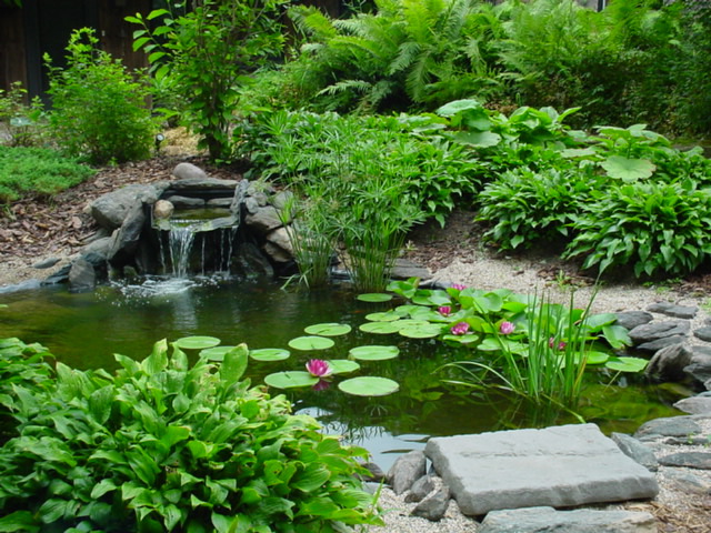 DSC01023.JPG