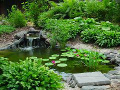 DSC01023.JPG