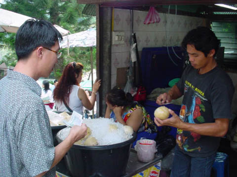 11_fresh_cocconut